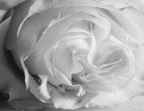 20210105171314__MG_9761